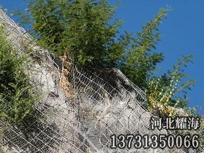 主動防護網(wǎng)