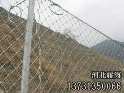 SNS邊坡防護網(wǎng)